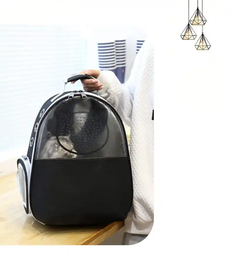 Morral Mitad Transparente Cara De Gato