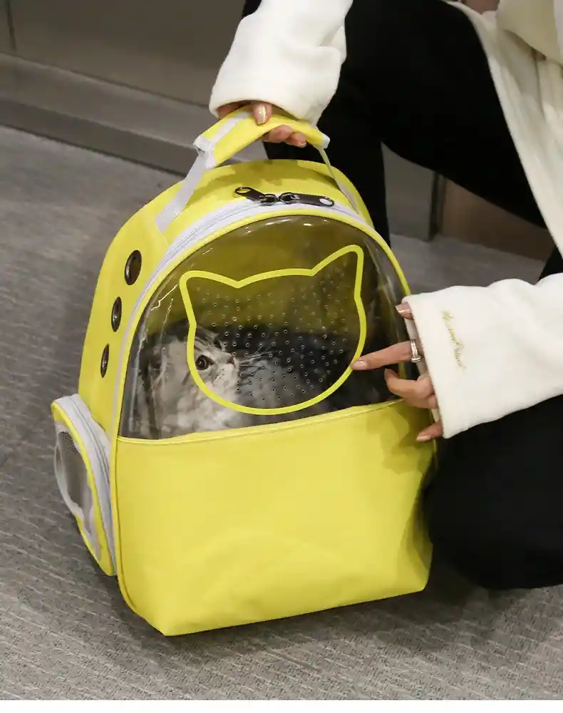 Morral Mitad Transparente Cara De Gato