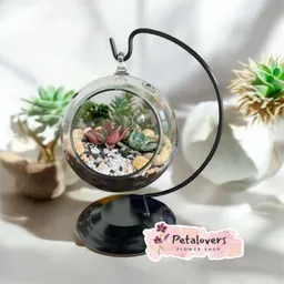 Terrario De Suculentas Petalovers