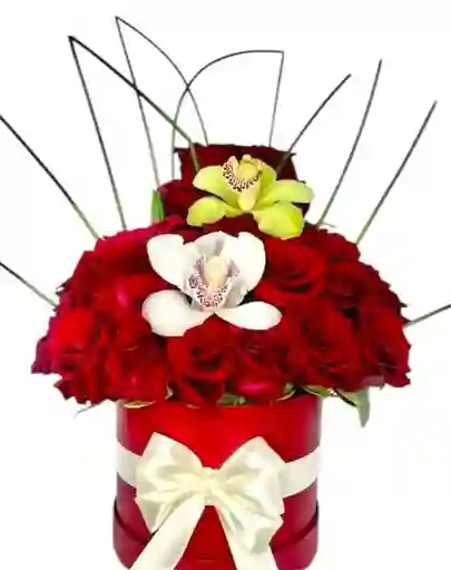 Flores-rosas En Burbuja Orquídeas
