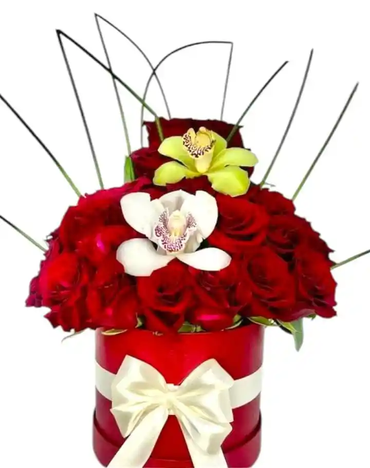 Flores-rosas En Burbuja Orquídeas