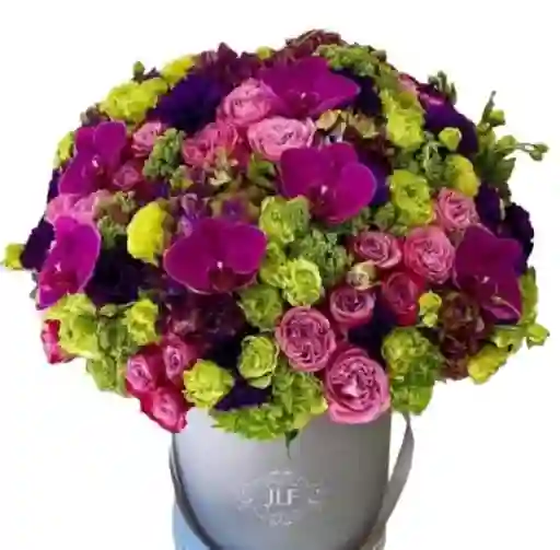 Flores Orquídeas En Burbuja