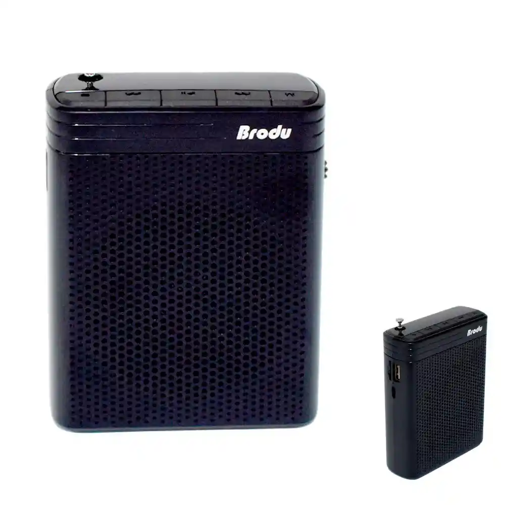 Radio Parlante Con Perifoneo Brodu Bts-1383