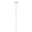 Cable Apple Usb-c A Conector Lightning De 2 Metros