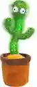 Cactus Bailarin Recargable