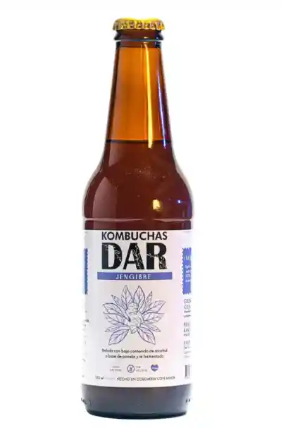 Kombucha Dar Jengibre 330 Ml