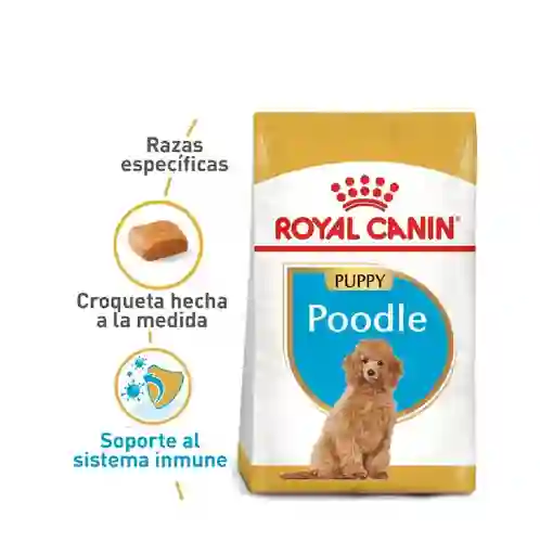 Royal Canin Poodle Puppy X 3 Kl
