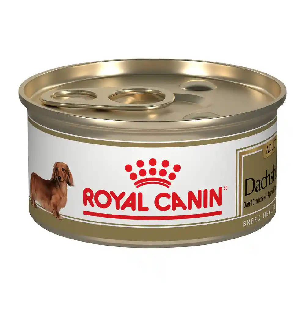 Royal Canin Bhn Dachshund Lata X 85 Grs
