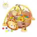 Gimnasio Didáctico De Estimulación Con Pisicina De Pelotas