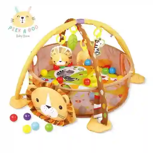 Gimnasio Didáctico De Estimulación Con Pisicina De Pelotas