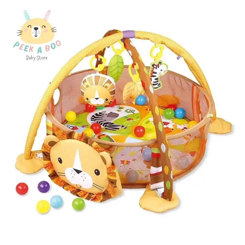 Gimnasio Didáctico De Estimulación Con Pisicina De Pelotas