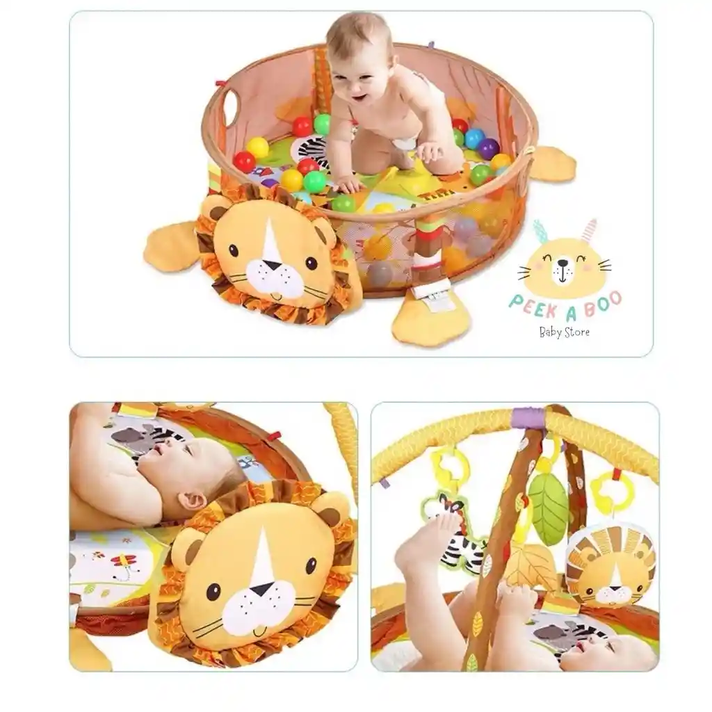 Gimnasio Didáctico De Estimulación Con Pisicina De Pelotas