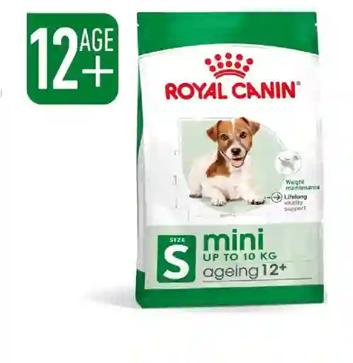 Royal Canin Shn Mini Ageing +12 X 1.5kg