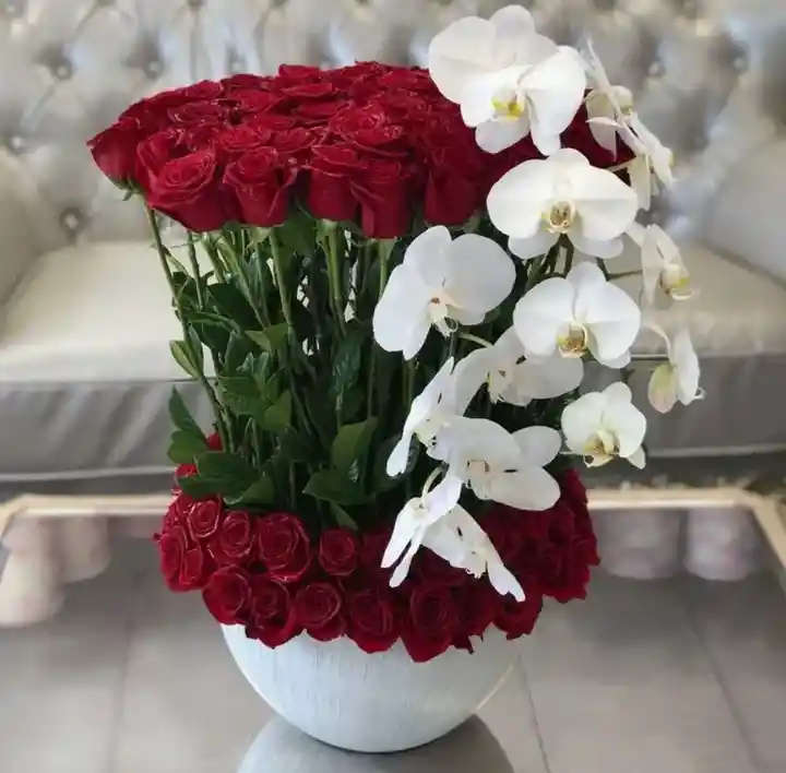 Ramo Luxury