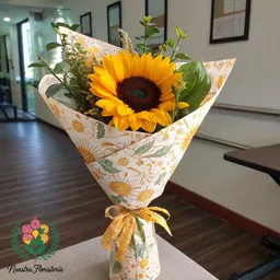 Girasol