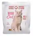Wow Cat Salmon 100 Gr Wow Can Gato Salmon Alimento Gato Salmon 100 Gr Wow Cat Salmon Gato