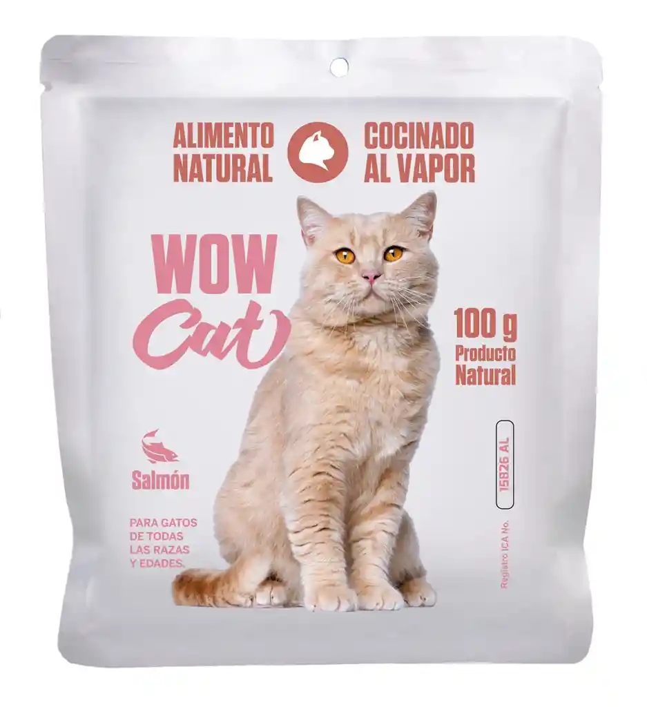 Wow Cat Salmon 100 Gr Wow Can Gato Salmon Alimento Gato Salmon 100 Gr Wow Cat Salmon Gato