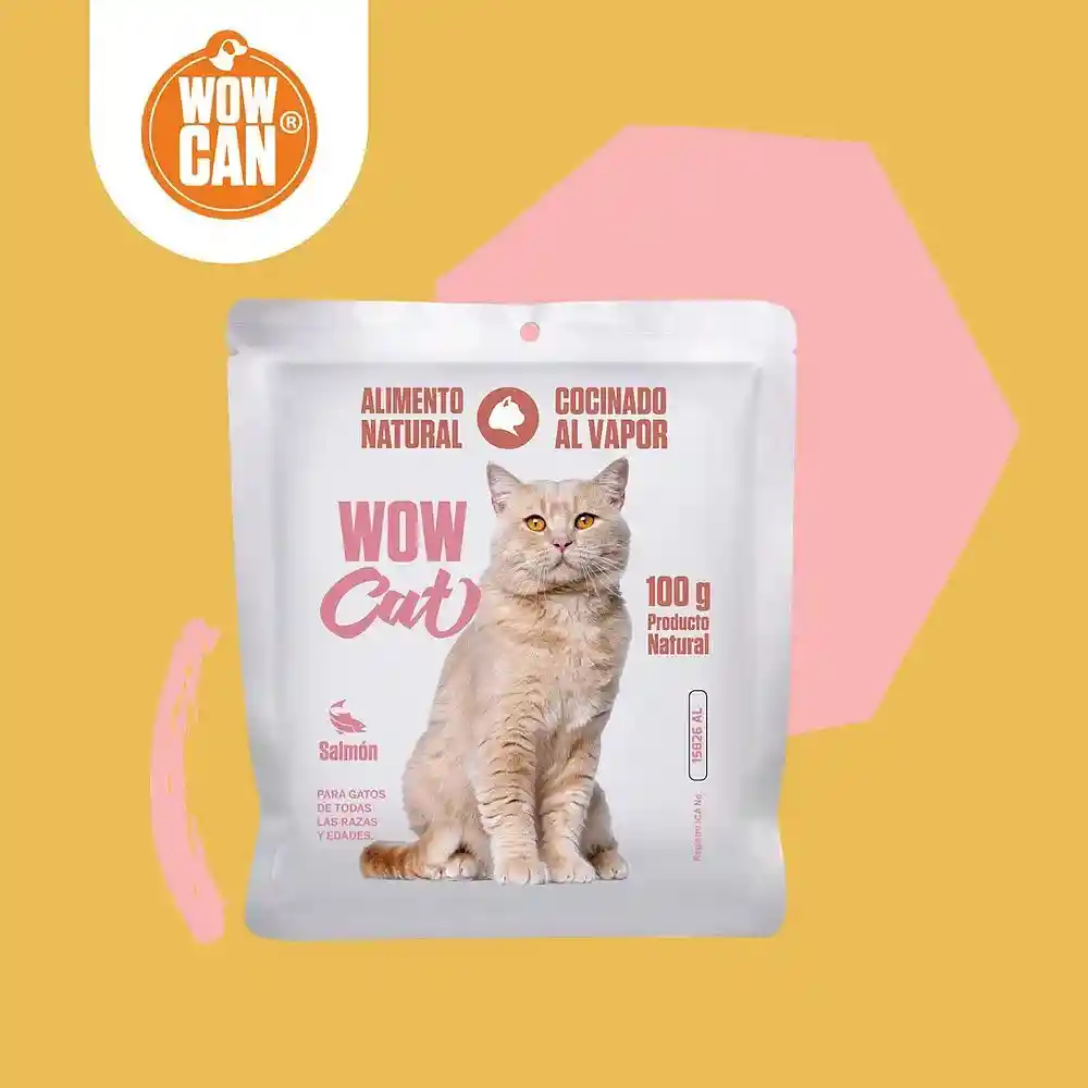 Wow Cat Salmon 100 Gr Wow Can Gato Salmon Alimento Gato Salmon 100 Gr Wow Cat Salmon Gato
