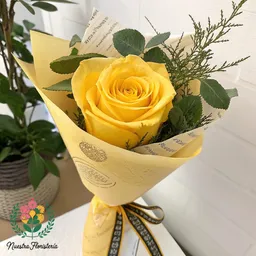 Rosa Amarilla X1