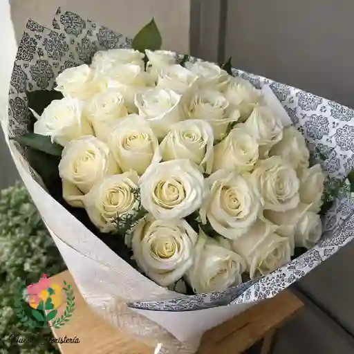 Rosa Blanca X48