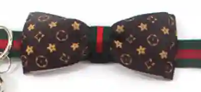 Pa69m Collar Con Moño Diseño De Marca M
