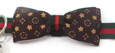 Pa69m Collar Con Moño Diseño De Marca M