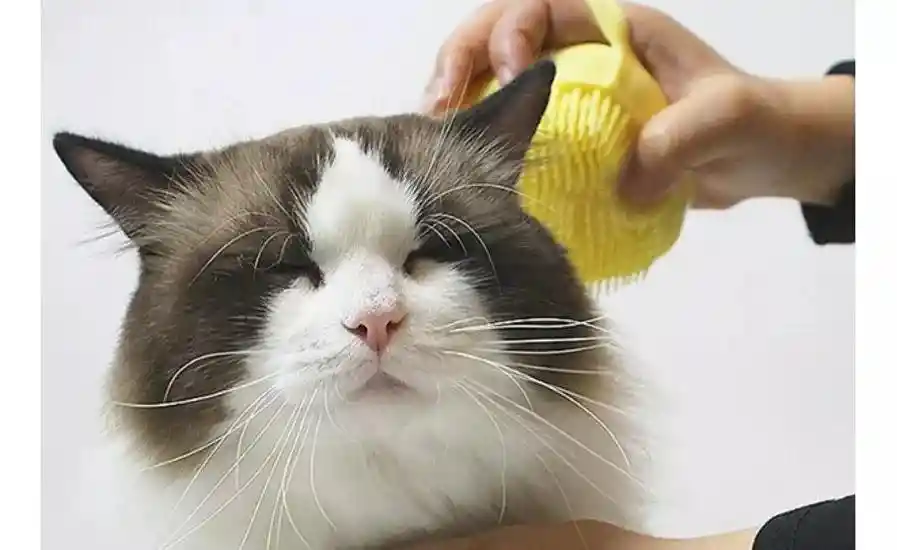 Dispensador De Baño Para Mascotas Color Amarillo