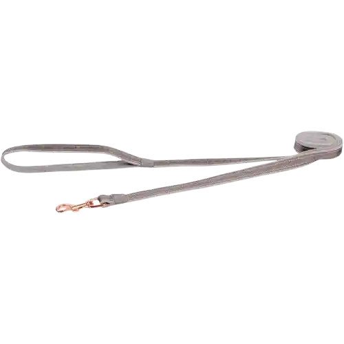 Correa Para Perro Rogz Urban Clásica Gris - M