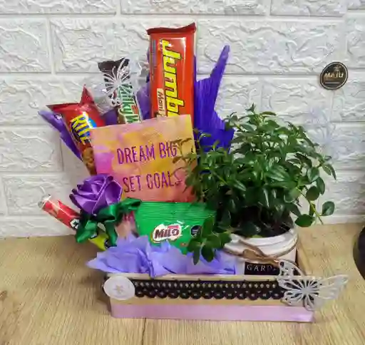 Ancheta Feliz Dia Planta