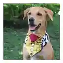 Pañoleta Para Perro Alana Bandana Woody - L
