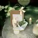 Kit Vida Condolencias - Virgen 14 Cms + Vela Y Suculenta