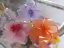 Clip Para Cabello Con Forma De Flor Hawaii X1uni