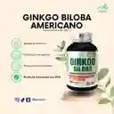 Ginkgo Biloba Americano