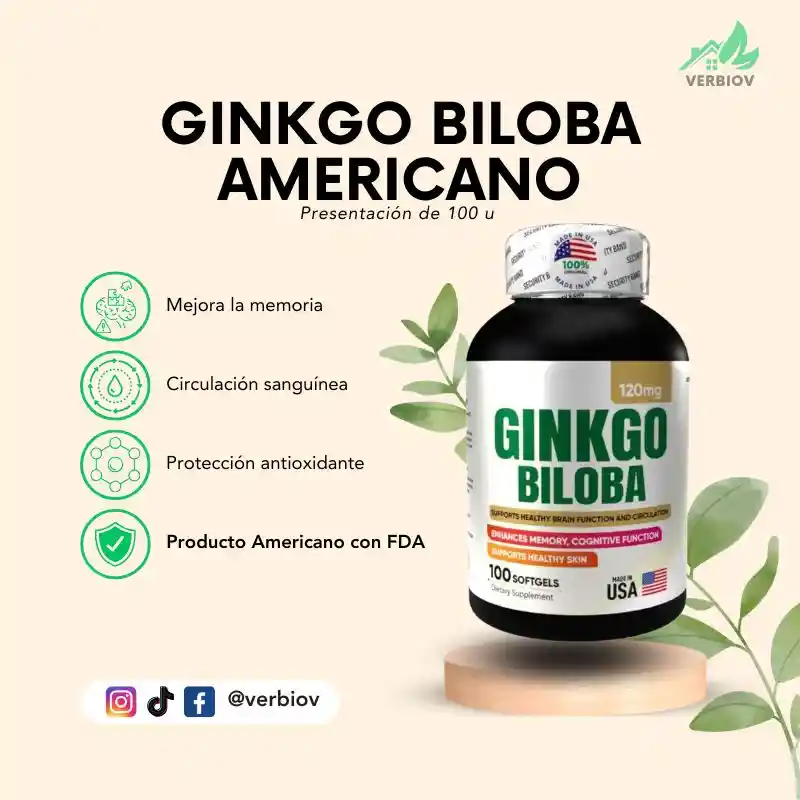Ginkgo Biloba Americano