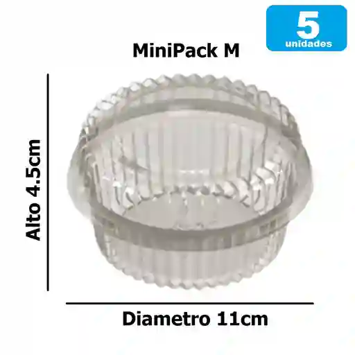 Contenedor Minipack Pet Cristal Con Tapa Tamaño M X5und