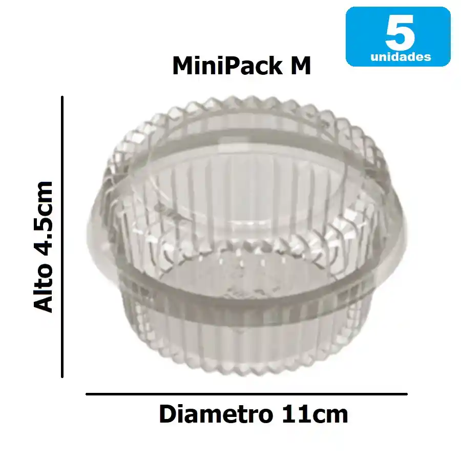 Contenedor Minipack Pet Cristal Con Tapa Tamaño M X5und