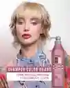 Shampoo Color Guard Salon In Recamier X1000 Ml Sin Sal
