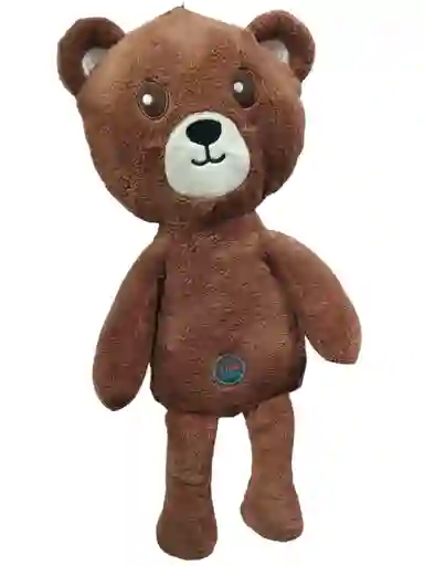 Juguete Osito Grande Resistente Para Perro