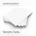 Cartulina Opalina X 5 Und