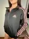 Conjunto Buzo Deportivo Adidas Chaqueta Fit Año 2025