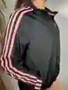 Conjunto Buzo Deportivo Adidas Chaqueta Fit Año 2025