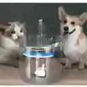 Fuente Mascotas Bebedero 4 Filtros Trasparente
