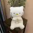 Peluche Apego Con Respiracion Sonido Luz