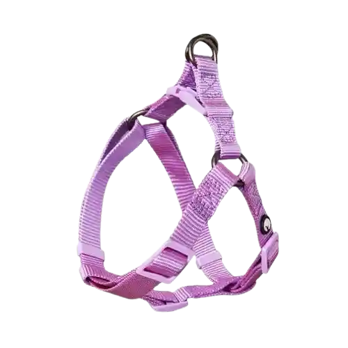 Arnés Para Perro Nylon Morado Puppis - S