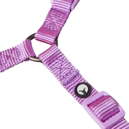 Arnés Para Perro Nylon Morado Puppis - S