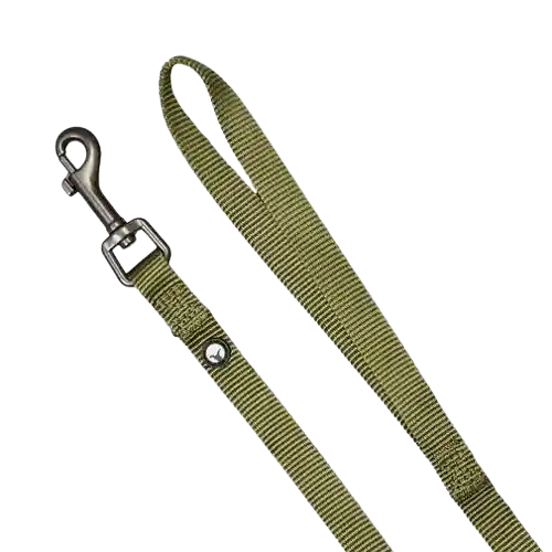 Correa Para Perro Nylon Oliva Puppis - S