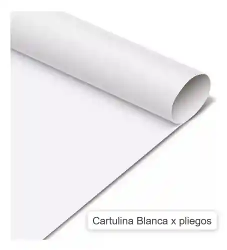 Cartulina Blanca Por Pliegos X 2 Und