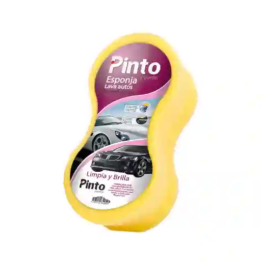 Espuma Autos X 1 Und
