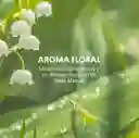 Locion Girllink