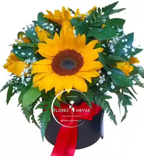 Girasol En Burbuja